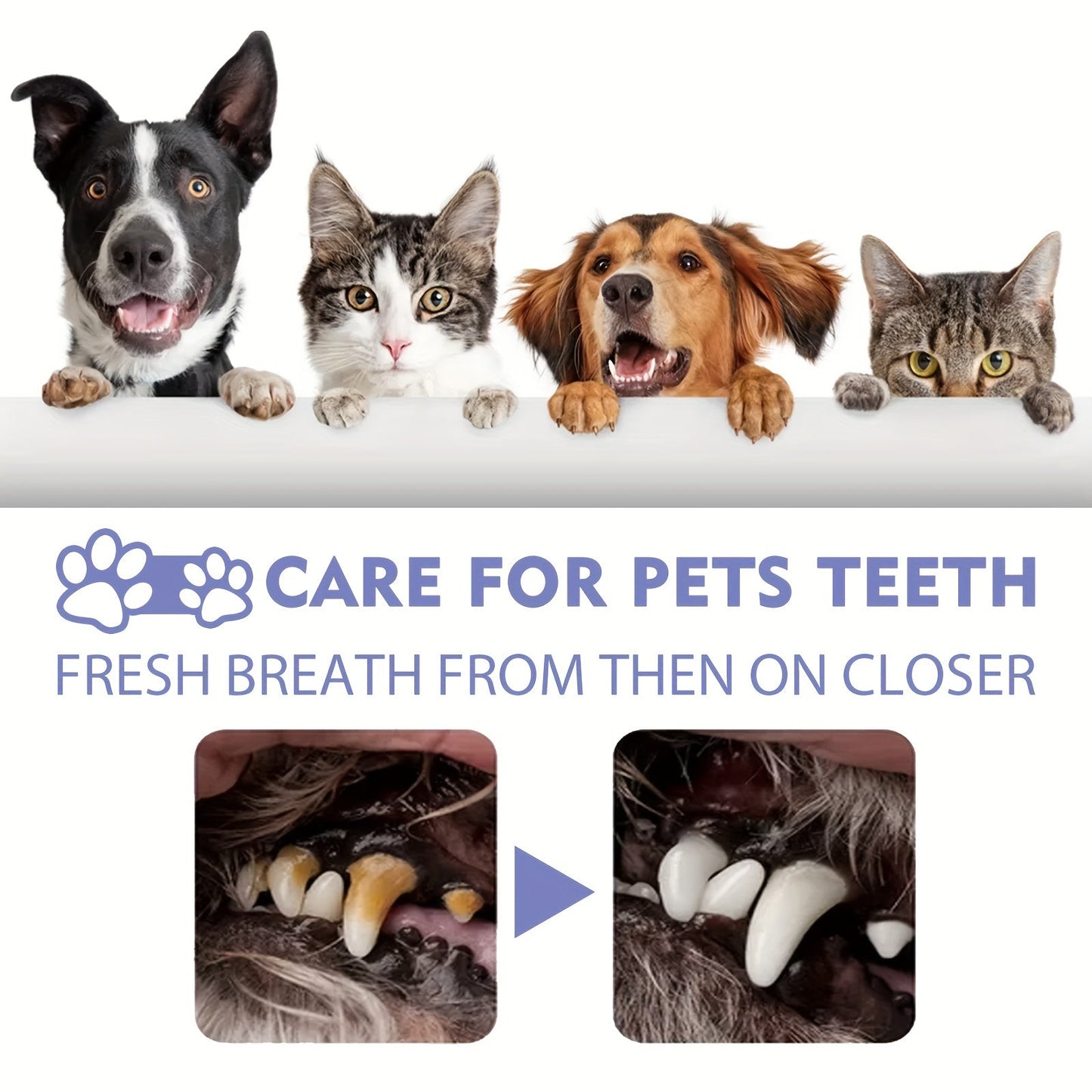 Cat and Dog Teeth Cleaning Spray - 30ml Oral Care Spray for Removing Stains and Freshening Breath, Pet Dental Cleaner