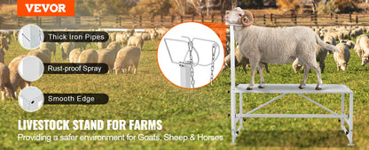 VEVOR Adjustable Goat & Sheep Milking Stand — 51x23 in Metal Livestock Shearing & Milking Platform, 21"-33" Height, White