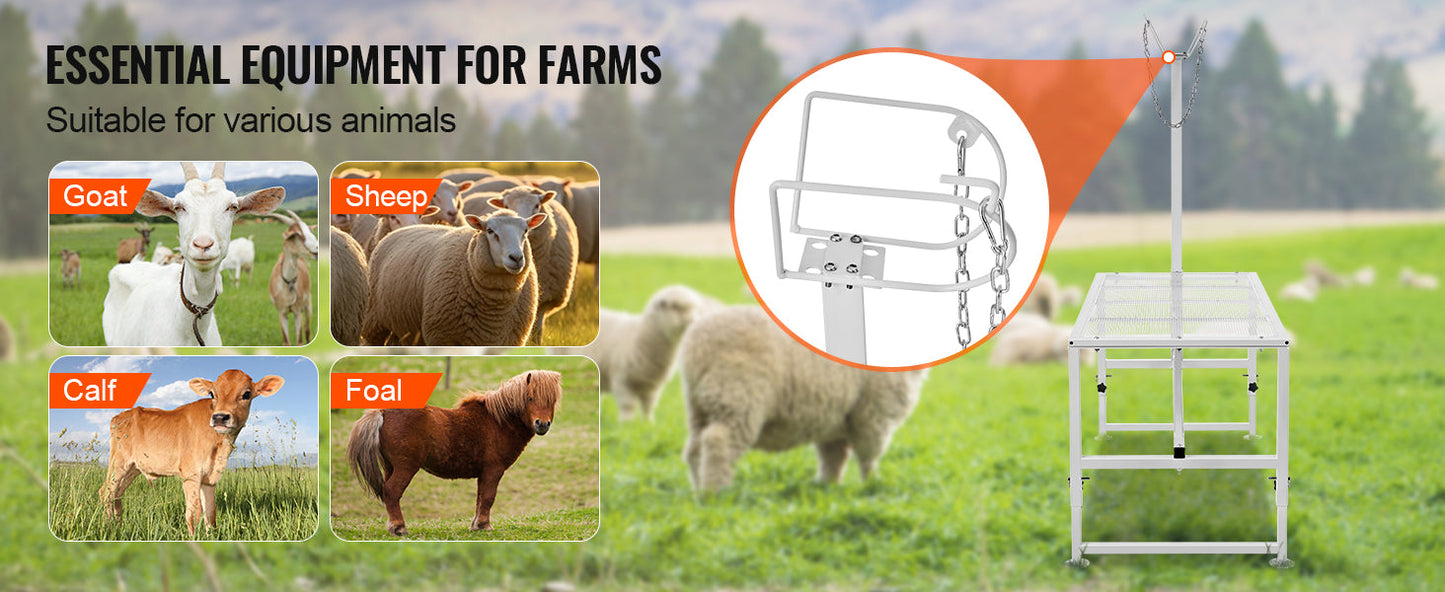 VEVOR Adjustable Goat & Sheep Milking Stand — 51x23 in Metal Livestock Shearing & Milking Platform, 21"-33" Height, White
